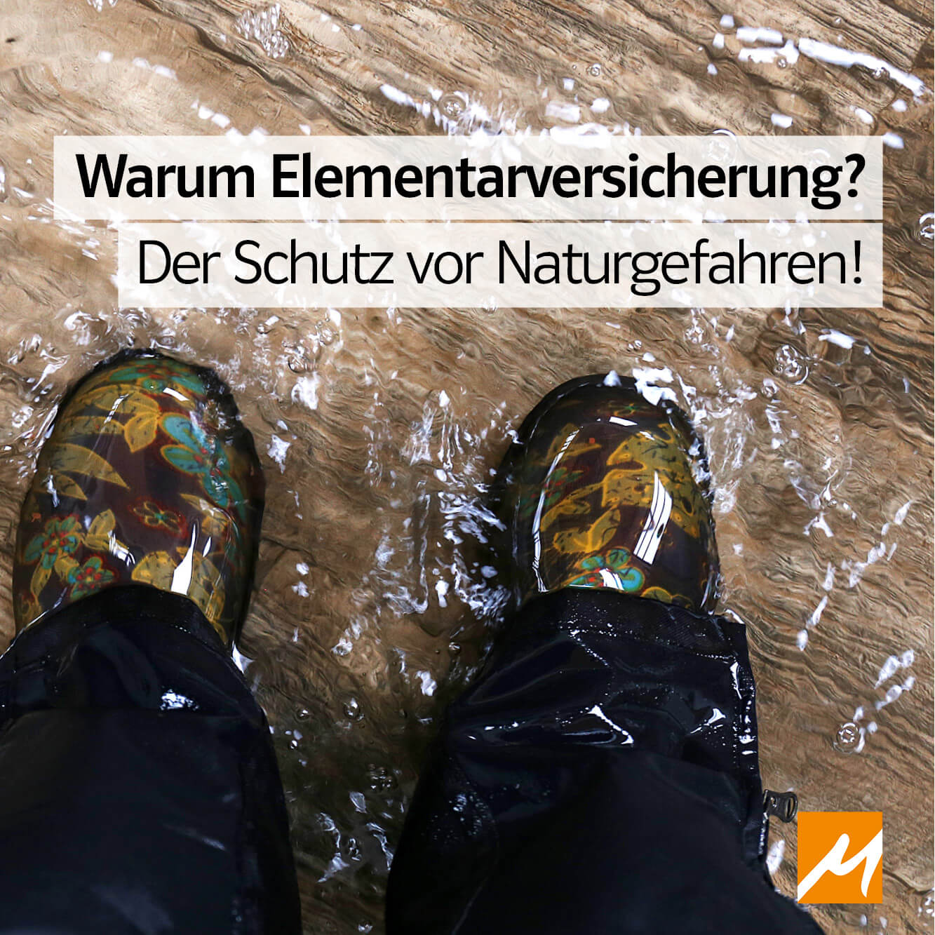 Elementarversicherung 